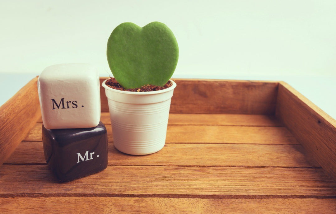 Plant Wedding Gifts