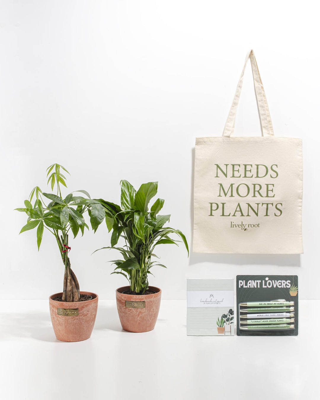 Study Buddy Care Package: Best Selling Plants