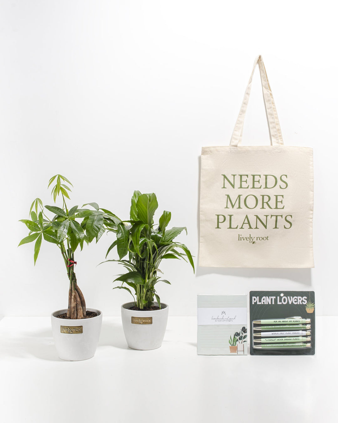 Study Buddy Care Package: Best Selling Plants