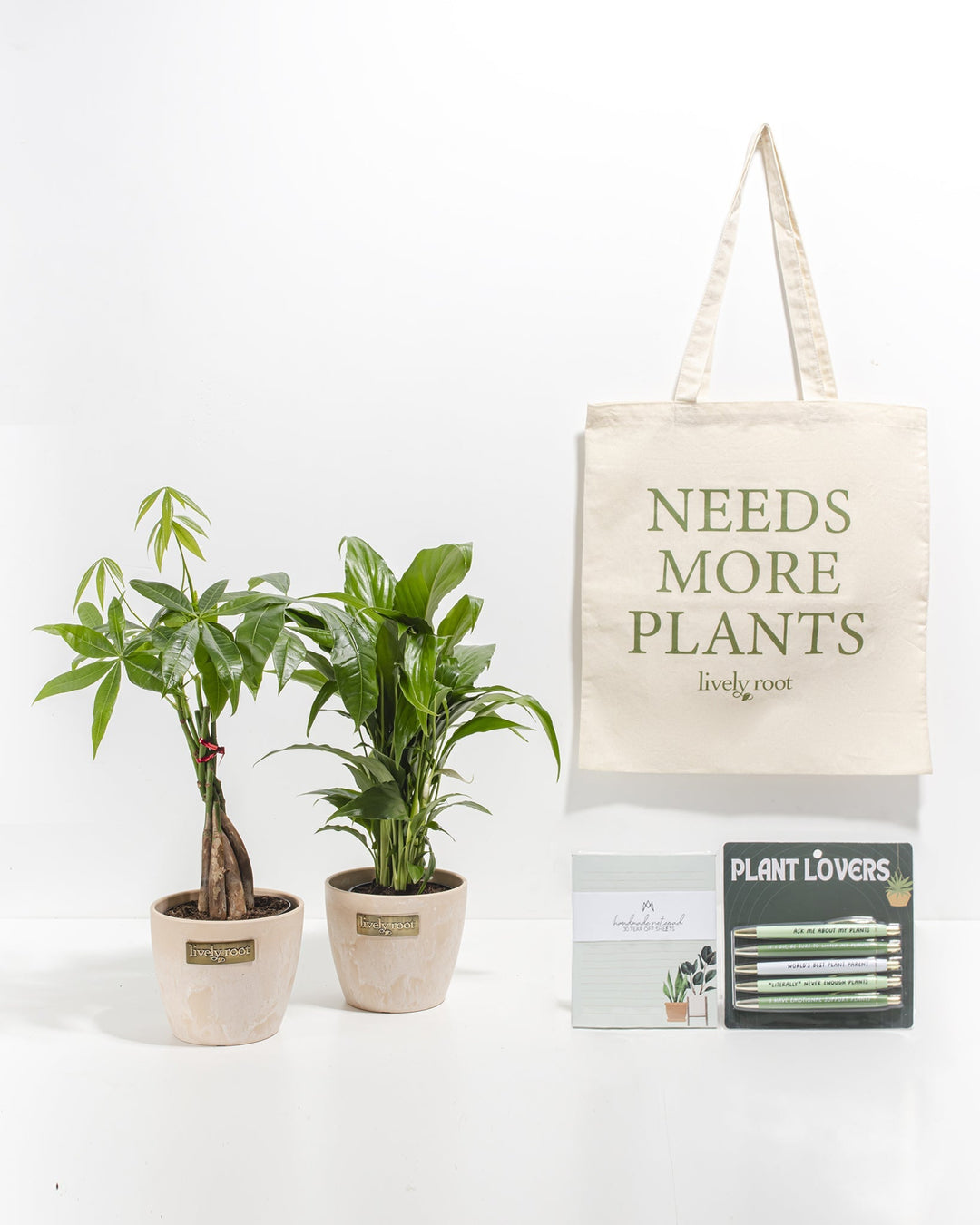 Study Buddy Care Package: Best Selling Plants