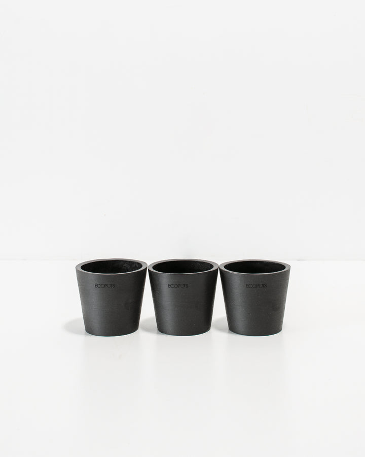 Orchid Ecopots®