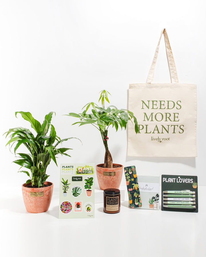 Ultimate Care Package: Best Selling Plants