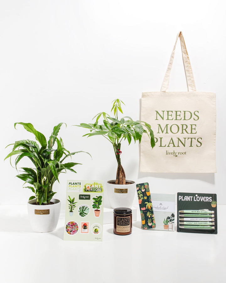 Ultimate Care Package: Best Selling Plants