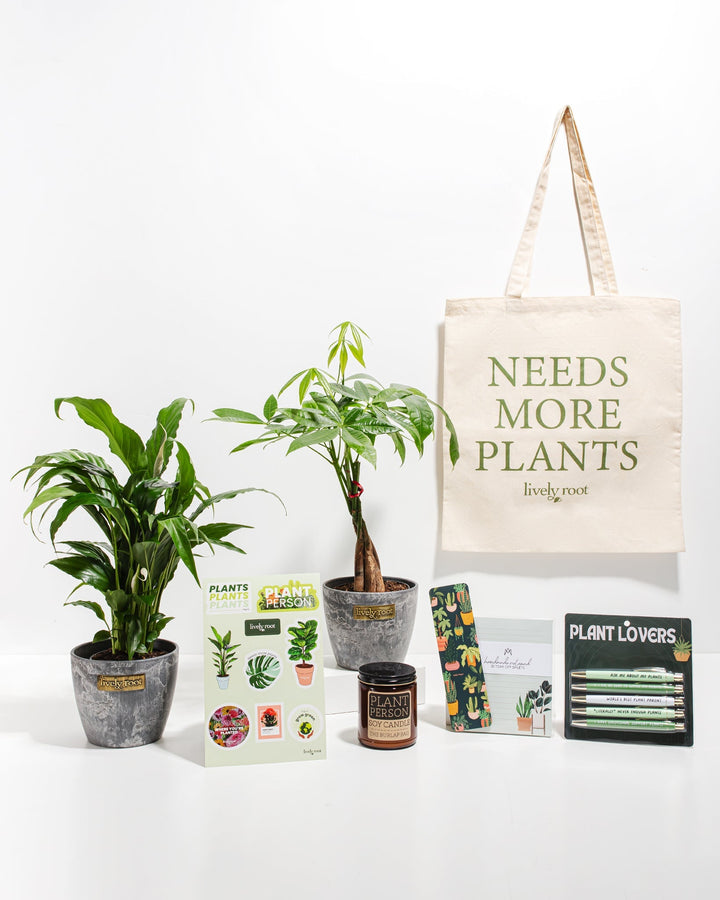 Ultimate Care Package: Best Selling Plants