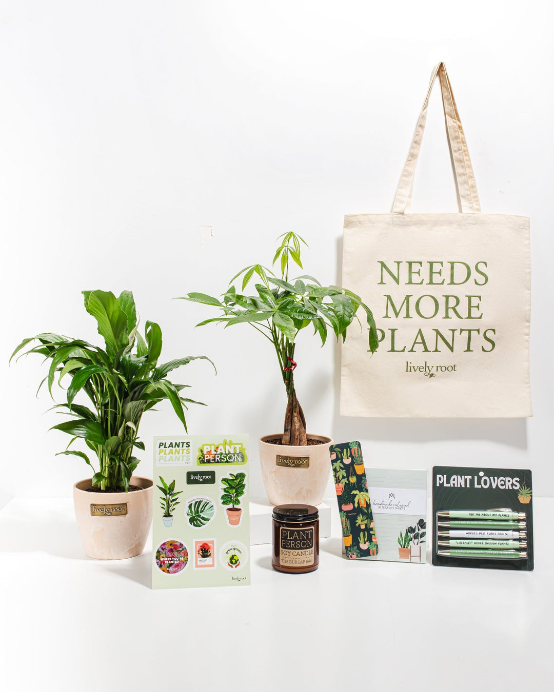 Ultimate Care Package: Best Selling Plants