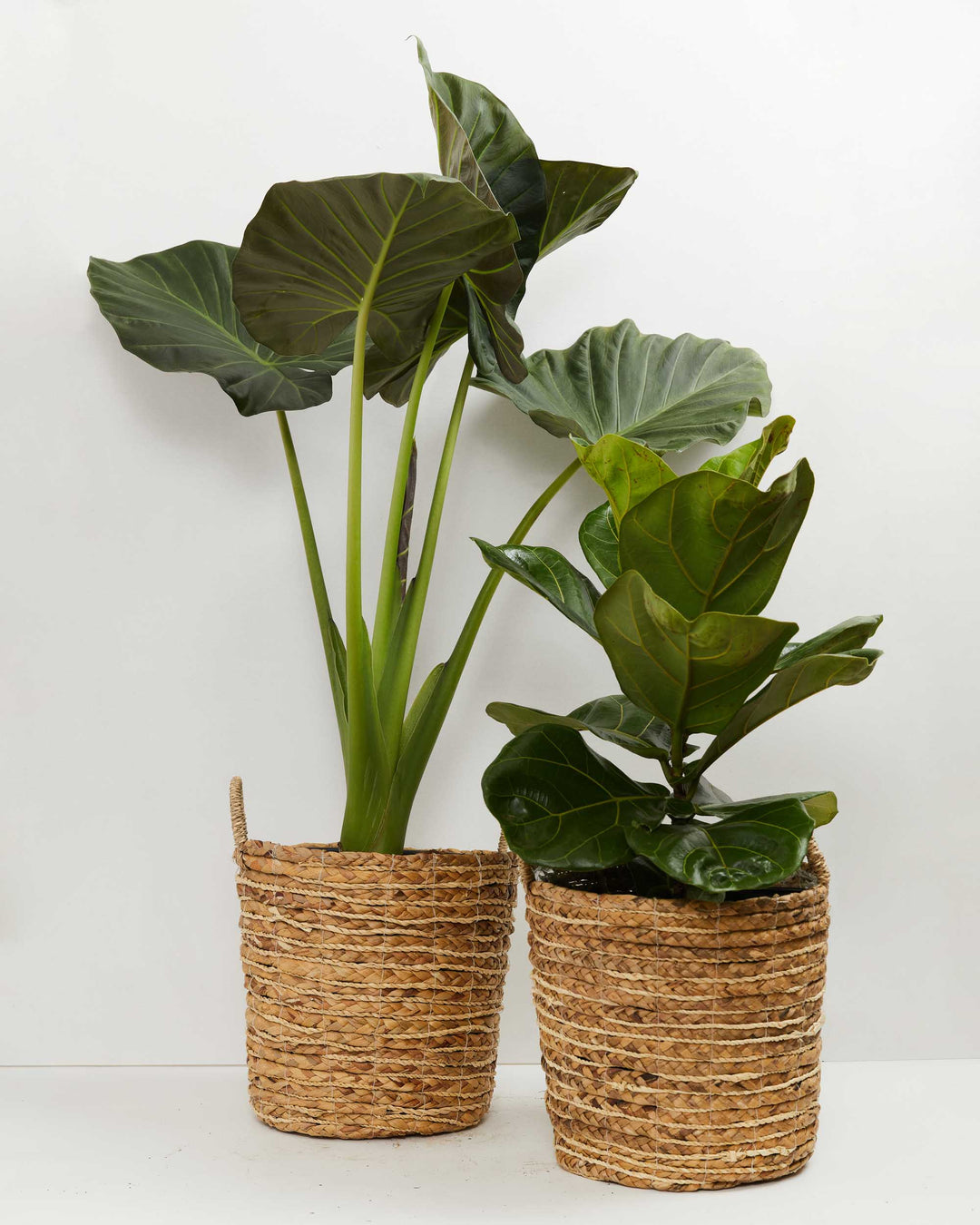 Impressive Spaces Collection