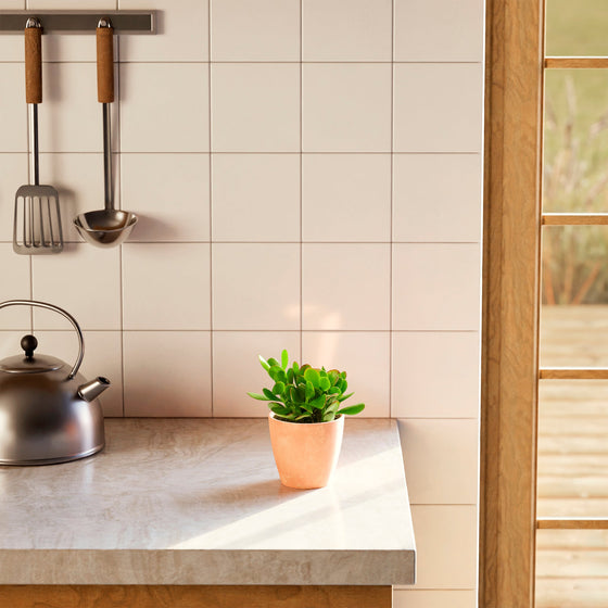 Small Jade Plant (Crassula ovata) in a terracotta pink eco pot styled on a modern kitchen countertop next to a kettle