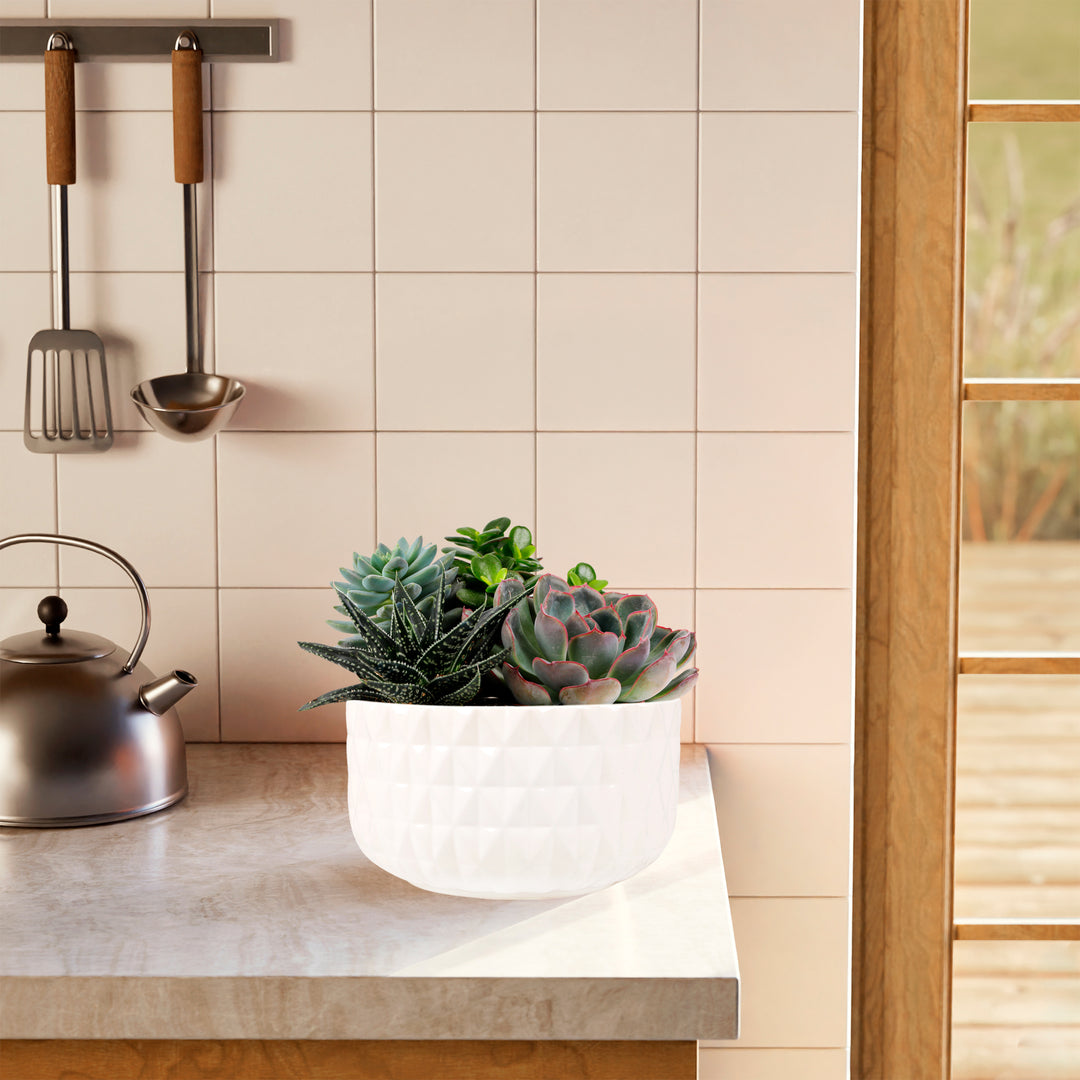 Succulent Garden Planter