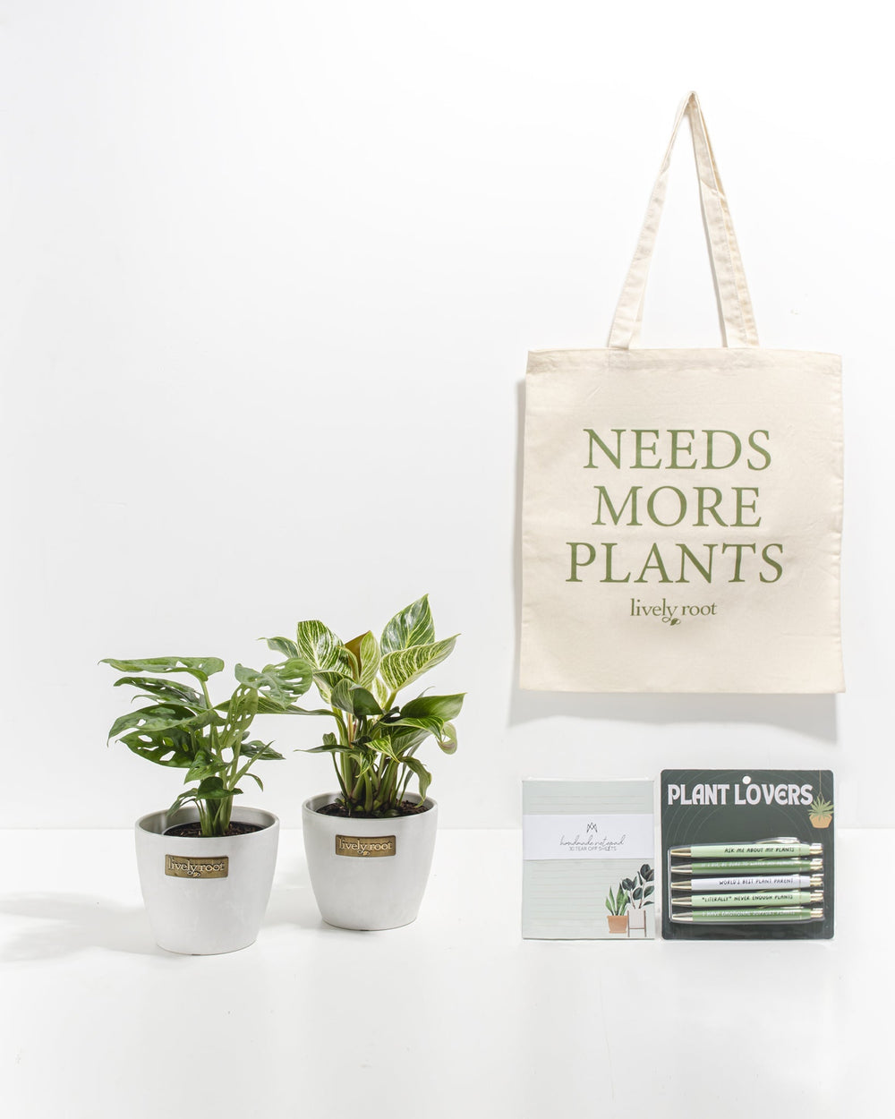 Study Buddy Care Package: Unique Plants