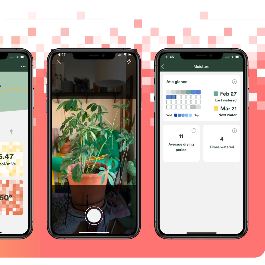 Leaflet® Plant Sensor
