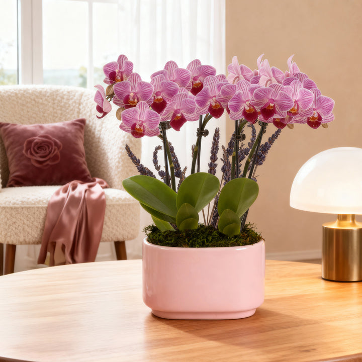Pink Orchid & Lavender Centerpiece