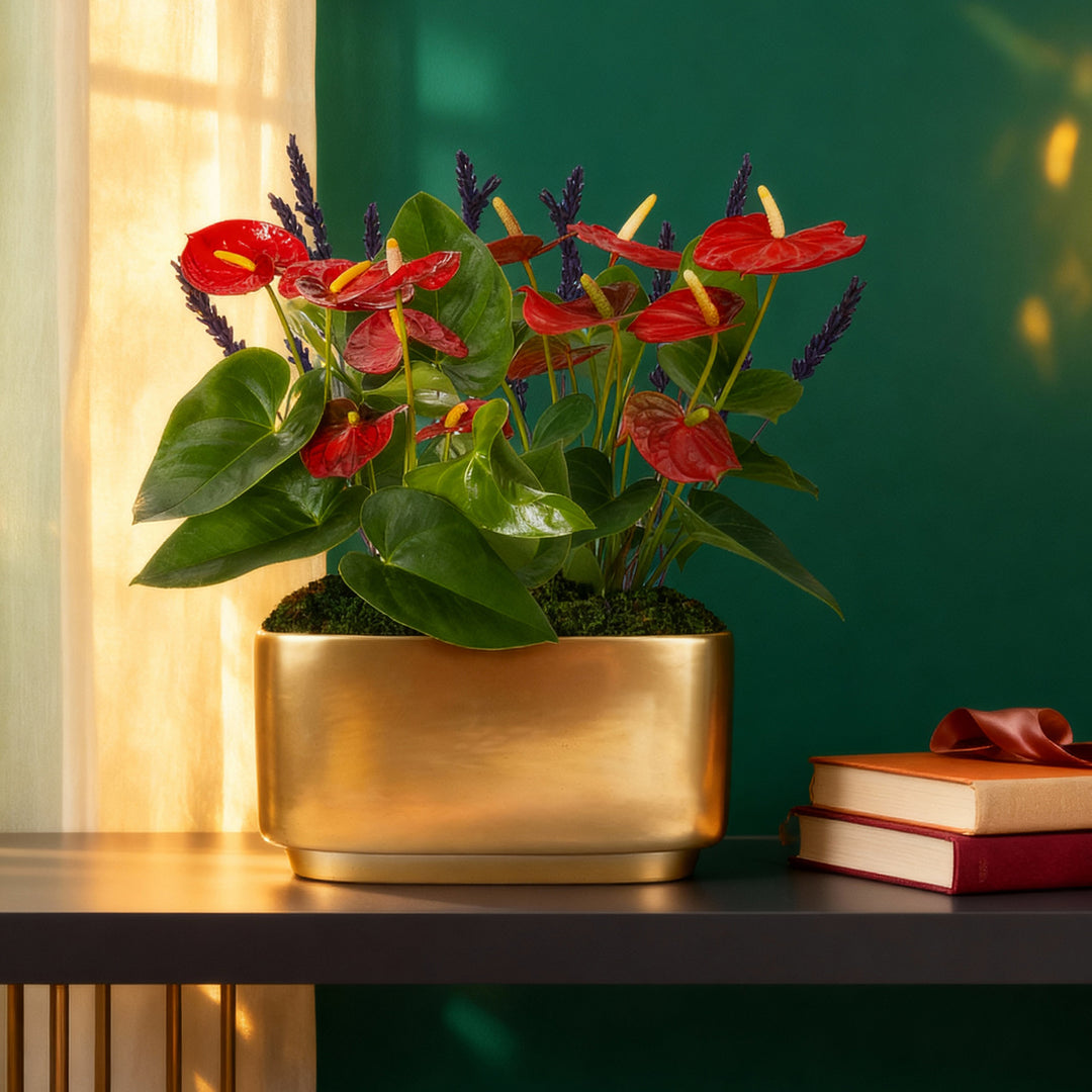 anthurium planter Red Anthurium Centerpiece