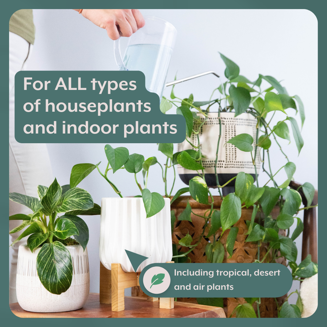 The Houseplant GROW Bundle