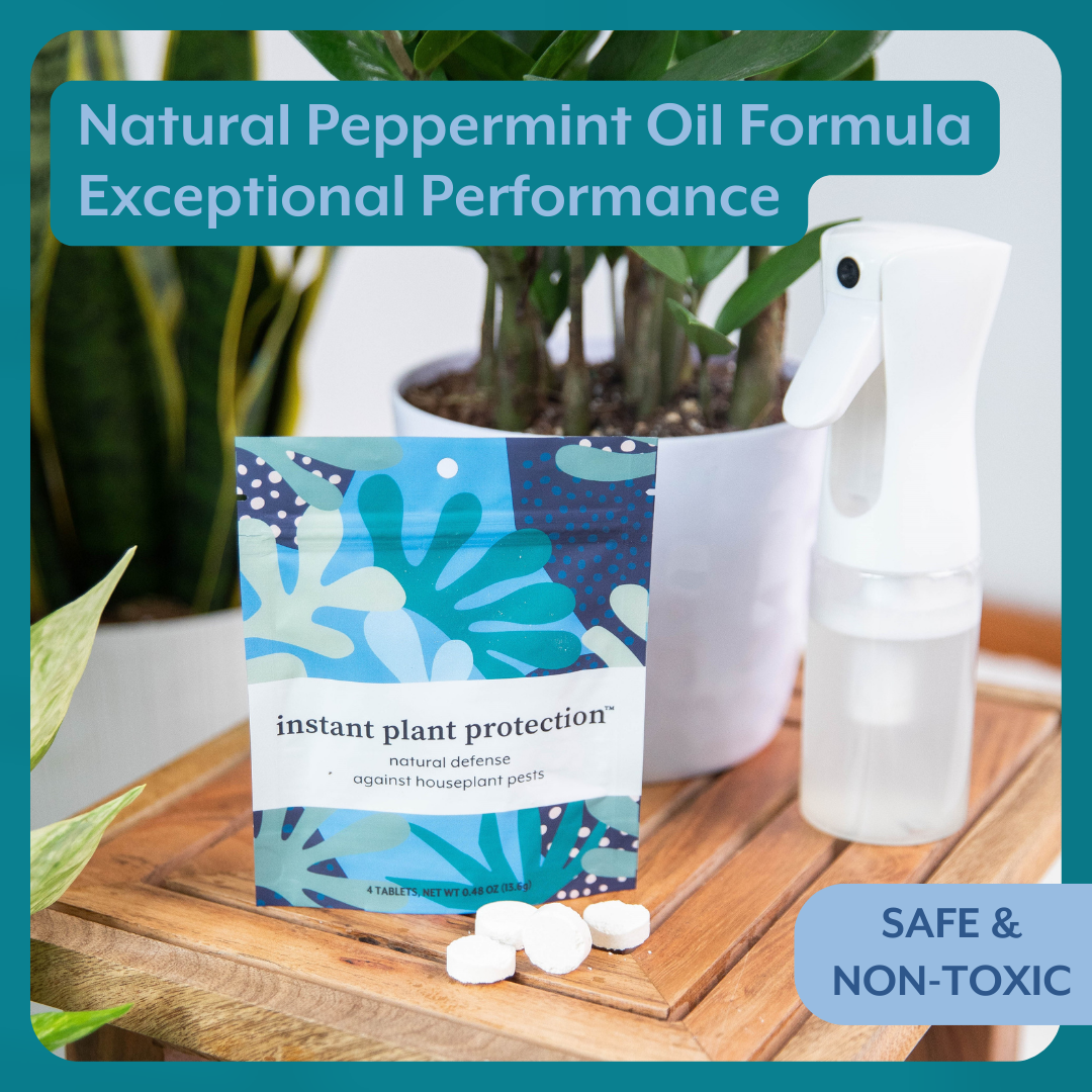 The Houseplant DEFENSE Bundle