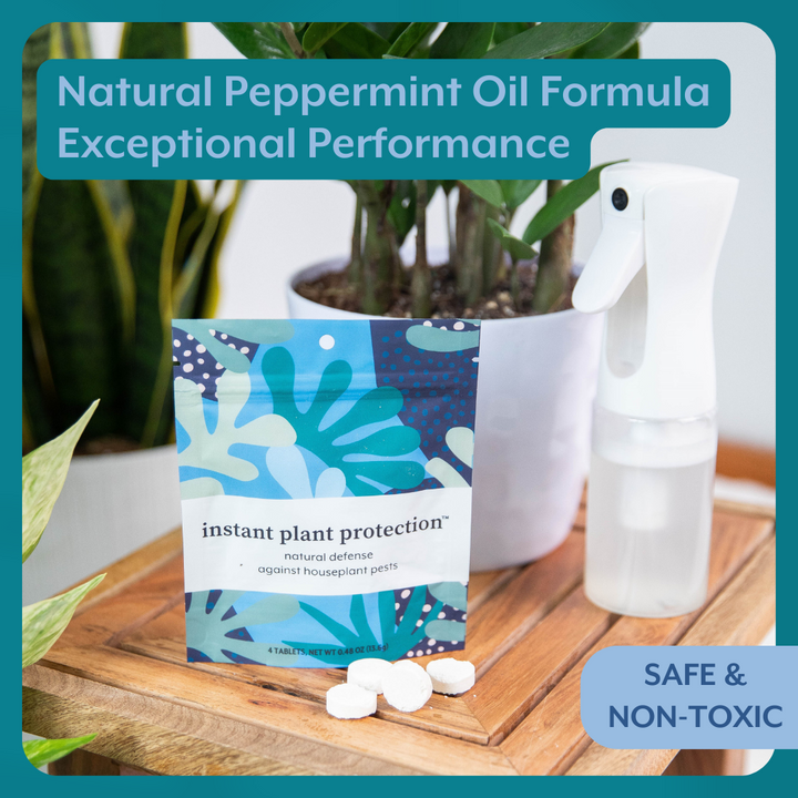 The Houseplant DEFENSE Bundle