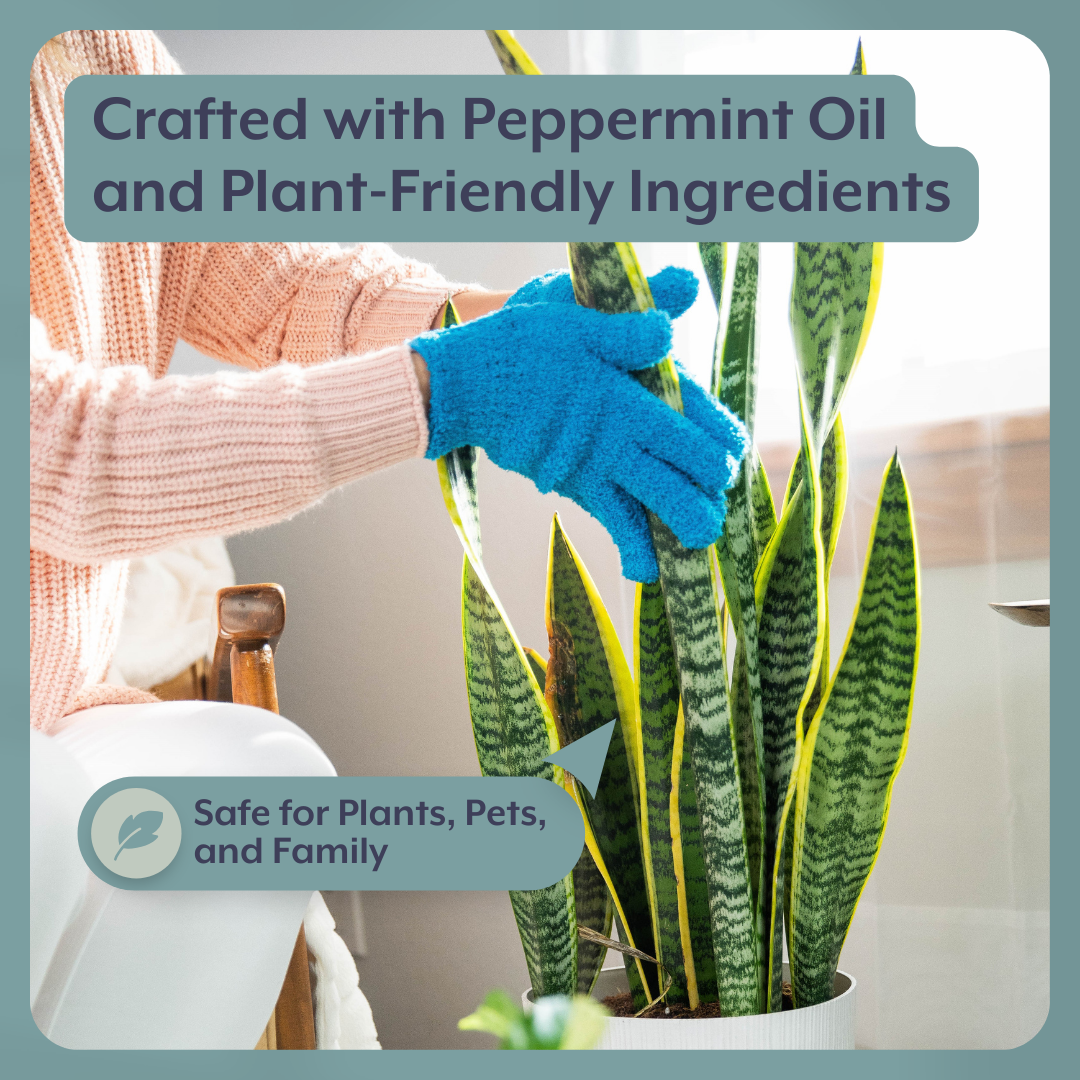 peppermint plants and snakes The Complete Plant Care Bundle | Accessories