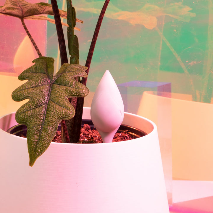 Leaflet® Plant Monitor