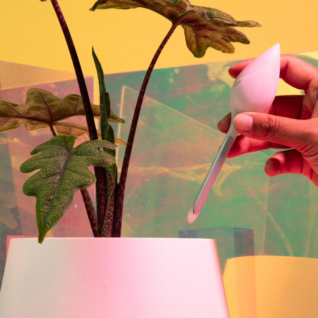 Leaflet® Plant Monitor