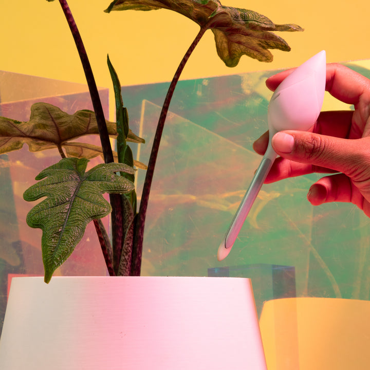 Leaflet® Plant Monitor