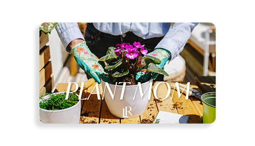 Lively Root Gift Card