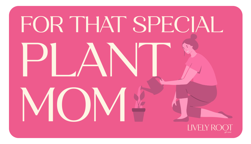Lively Root Gift Card