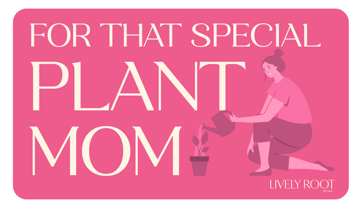 Lively Root Gift Card