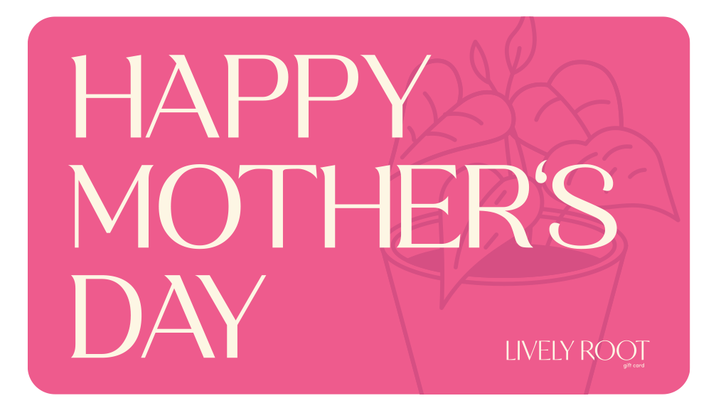 Lively Root Gift Card