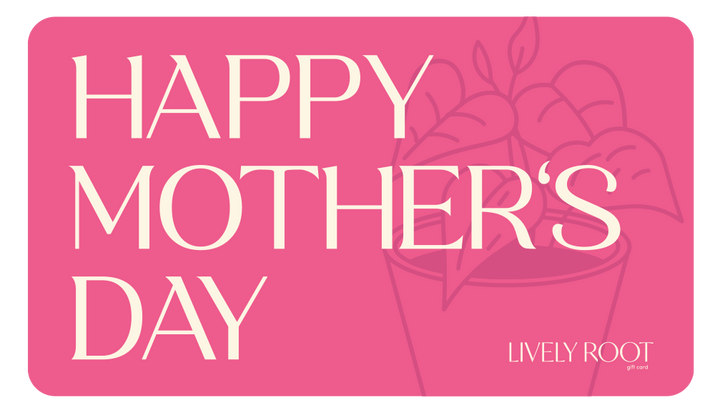 Lively Root Gift Card