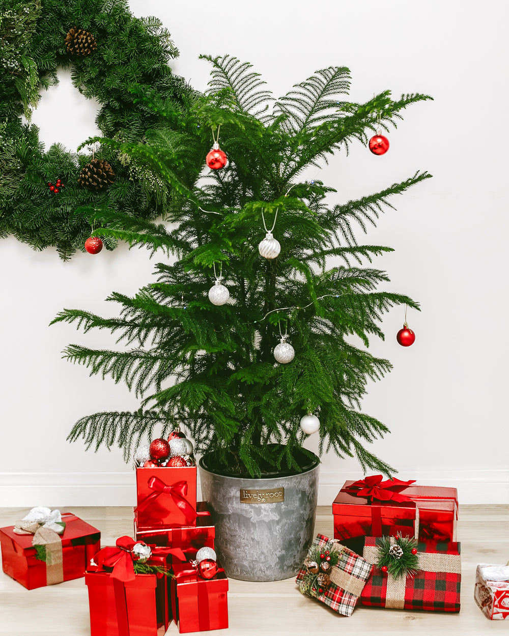 Mini Ornaments and Lights