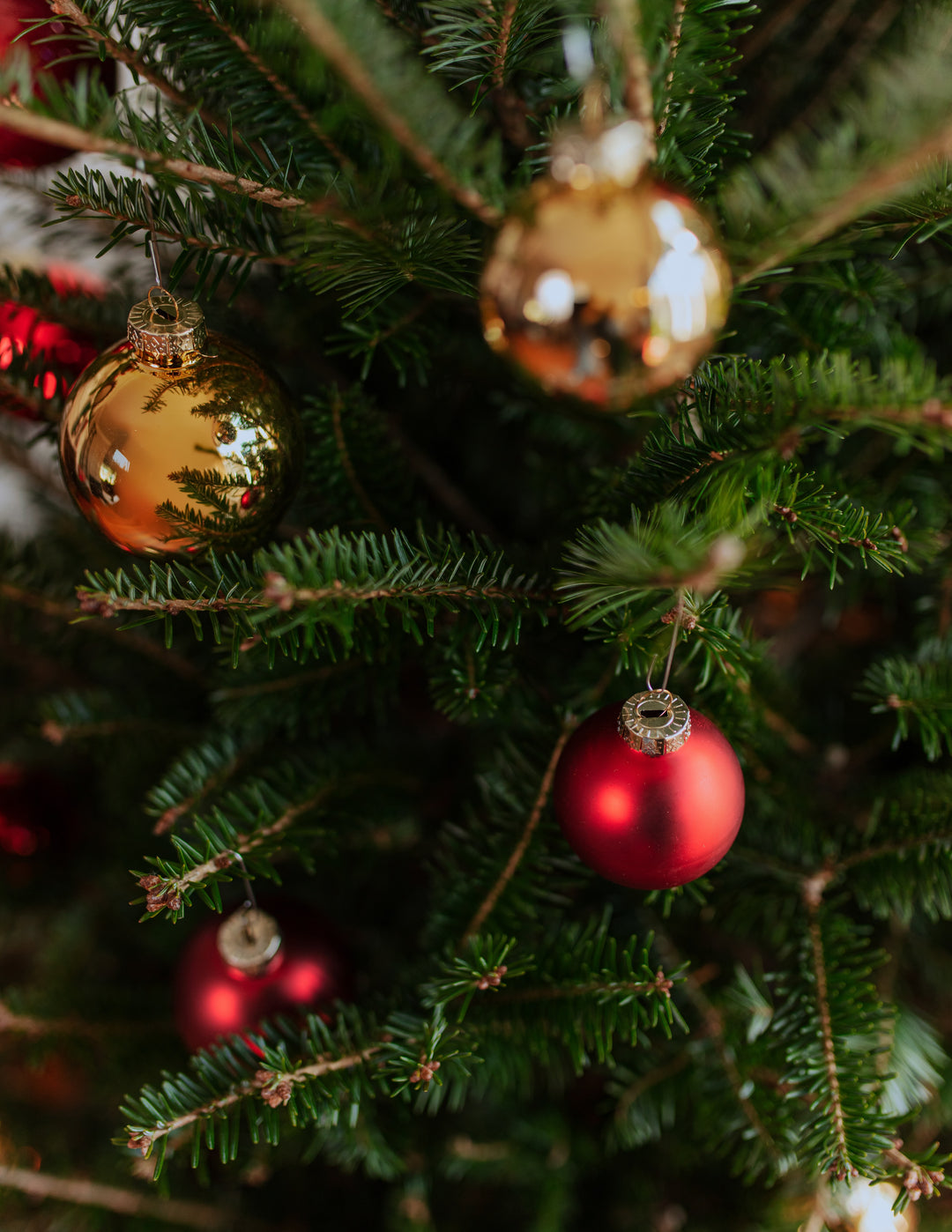 4ft Balsam Fir Christmas Tree