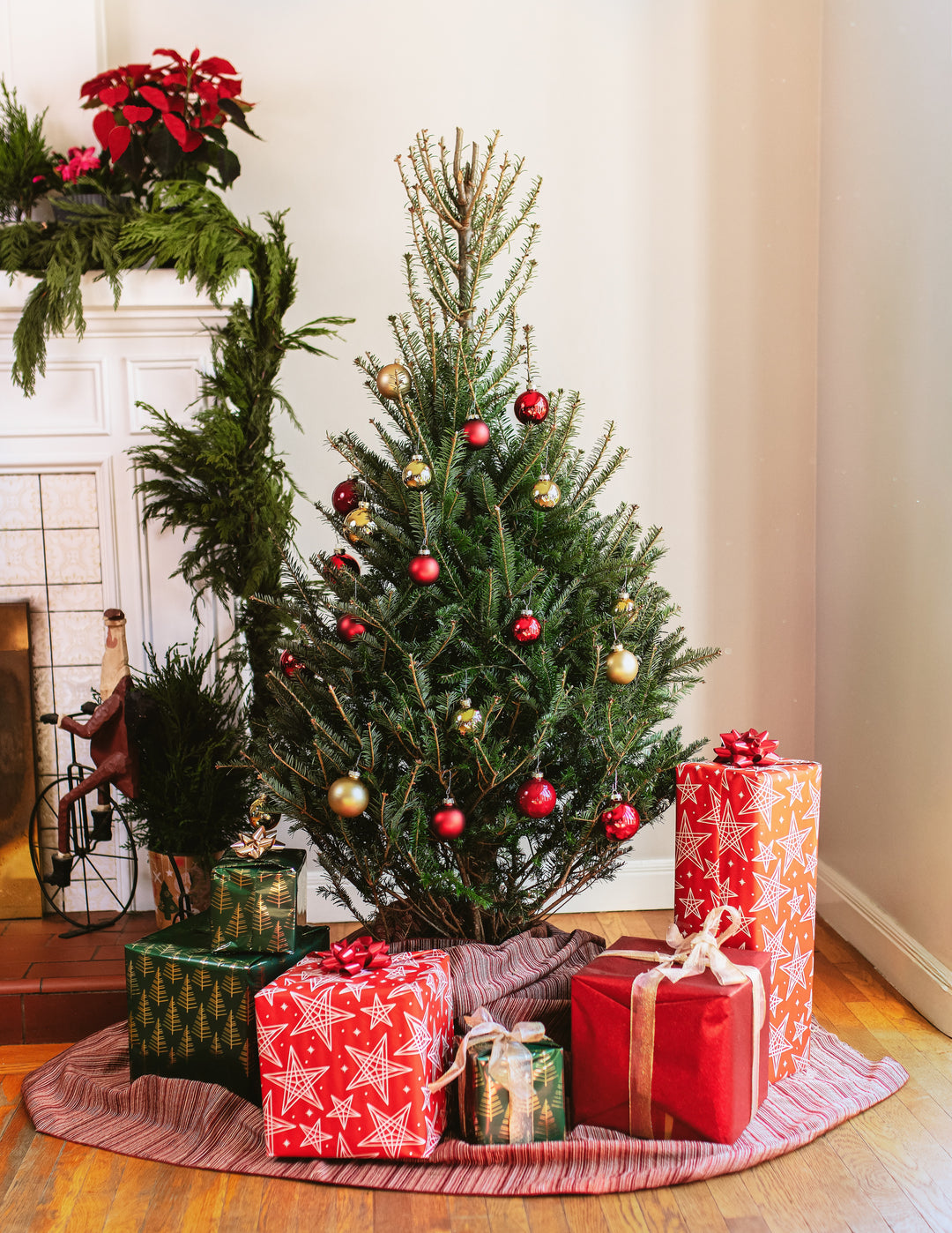 4ft Balsam Fir Christmas Tree