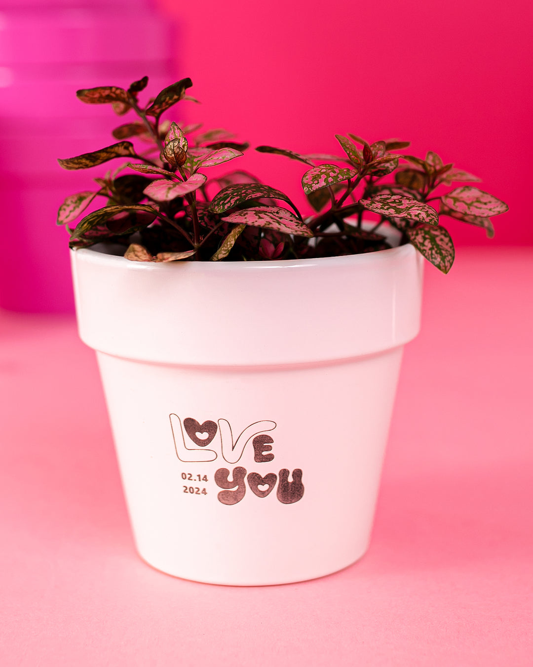 personalized pots for plants Custom Pot
