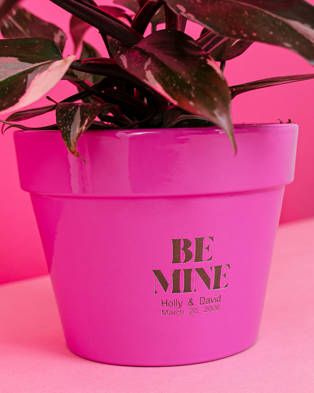 personalized mini plant pots Custom Pot