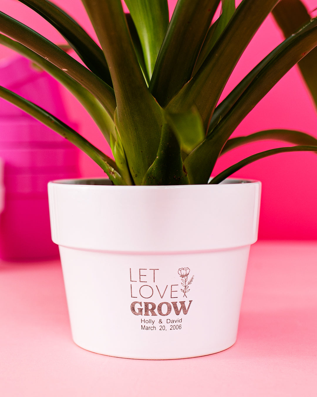 custom ceramic flower pot Custom Pot