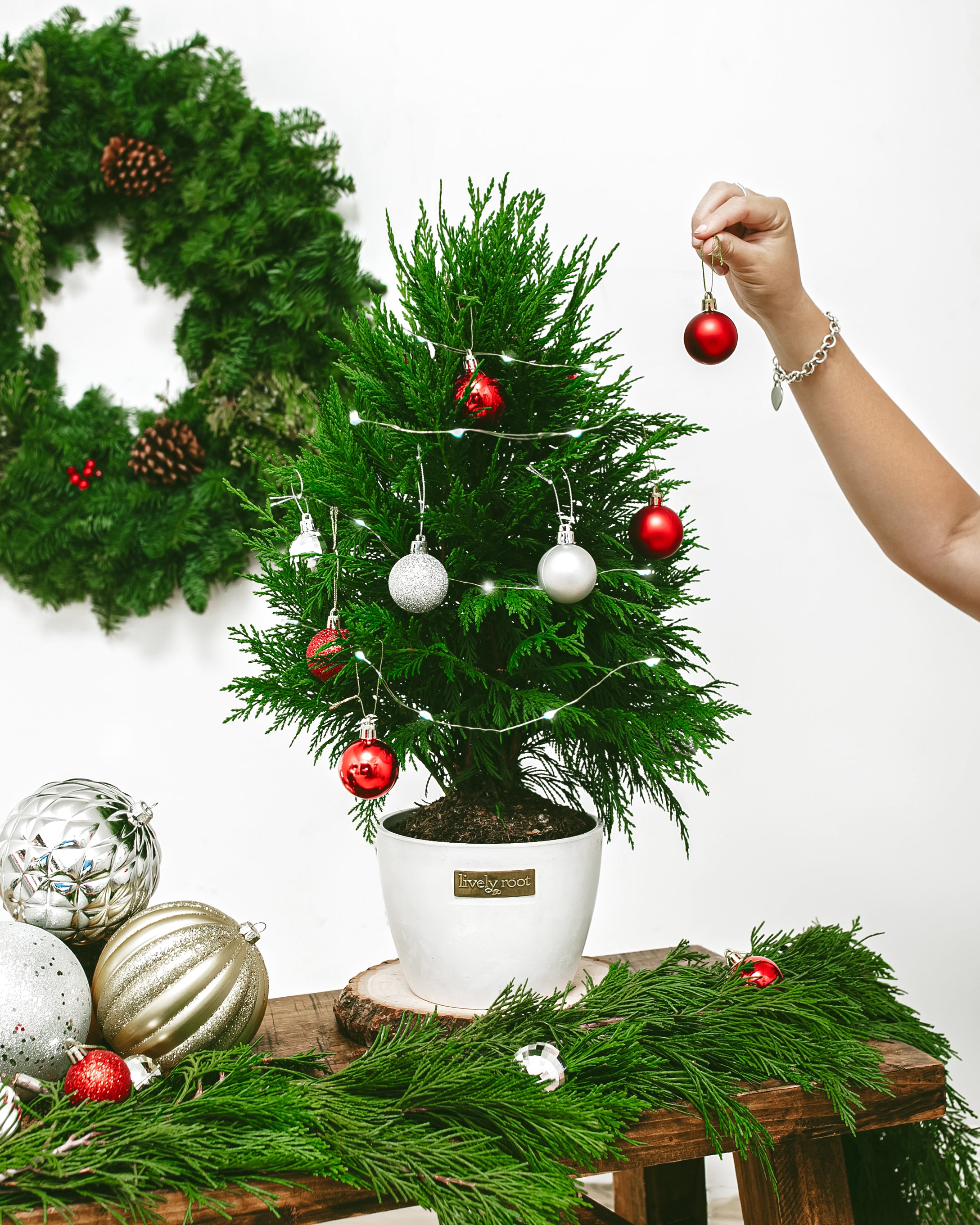 Mini Ornaments and Lights