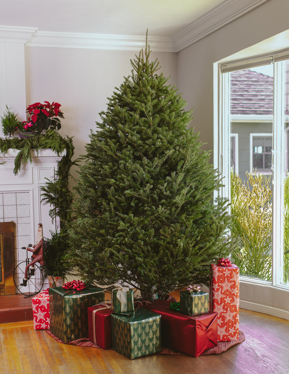 Christmas Tree Base Roots Christmas Tree Delivery | Lively Root
