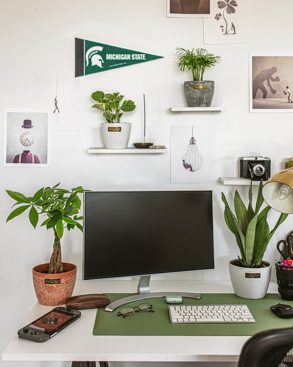 Dorm room desk setup featuring Dorm Room Jungle plants on floating shelves and around monitor with college decor, small space plant collection for student bedroom.