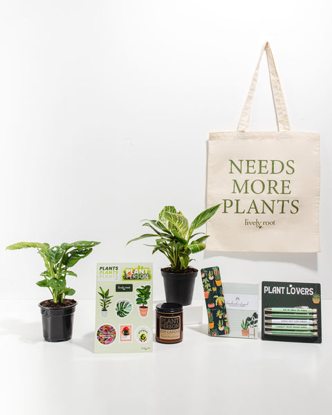 Ultimate Care Package: Unique Plants | Lively Root