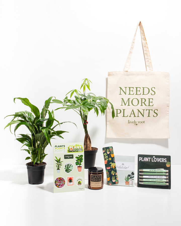 Ultimate Care Package: Best Selling Plants
