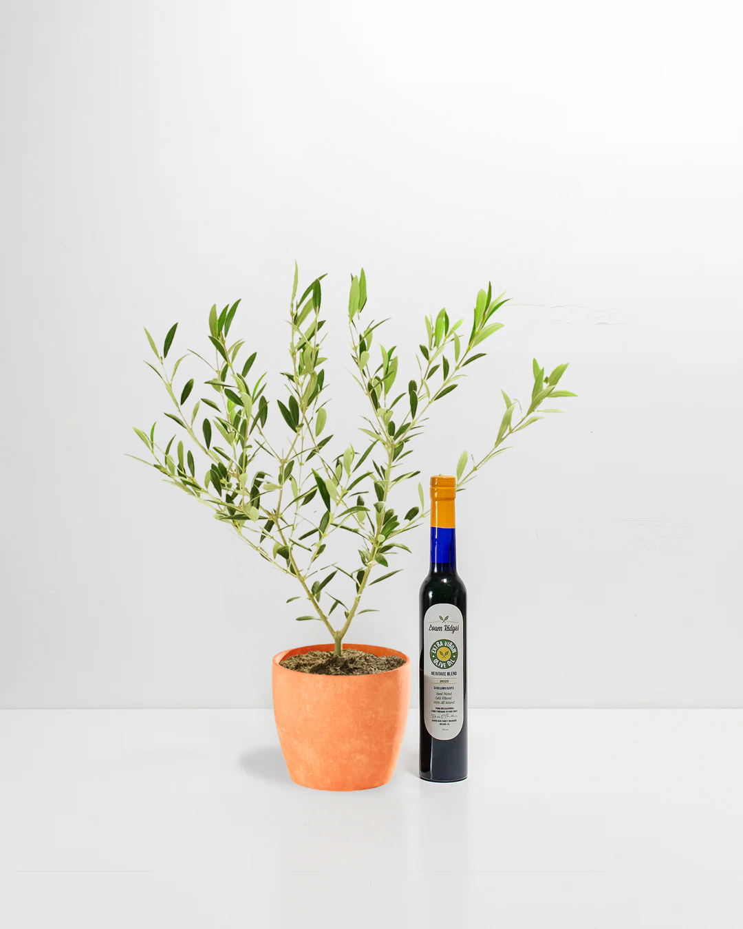 Olive Grove Delight Bundle