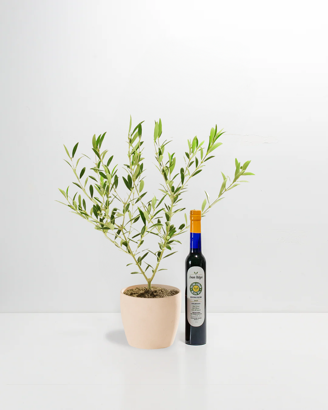 Olive Grove Delight Bundle