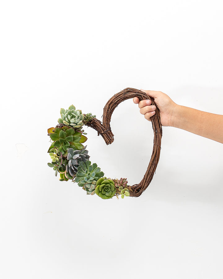 Live Succulent Heart Wreath