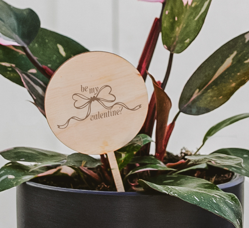 Valentine's Day Plant Pick