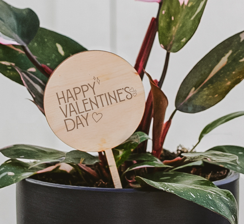 Valentine's Day Plant Pick