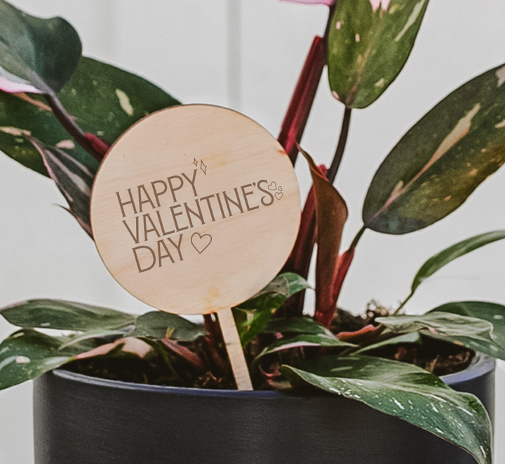 Valentine's Day Plant Pick