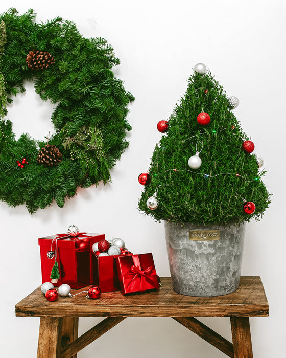 Decorated rosemary Christmas tree in grey textured ceramic pot styled with holiday ornaments, festive wreath, and wrapped gift boxes. Seasonal botanical décor arrangement combining living fragrant herb plant with traditional holiday aesthetics for memorable holiday gifting and festive home display.