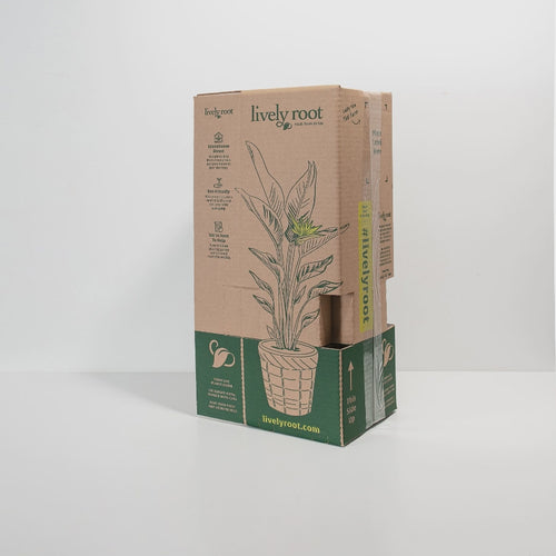 34b2e73ffde342eeaa8c0e4b49d359c2.mp4__PID:eb4ebc4a-697f-4af6-abc3-d0f5790f4643