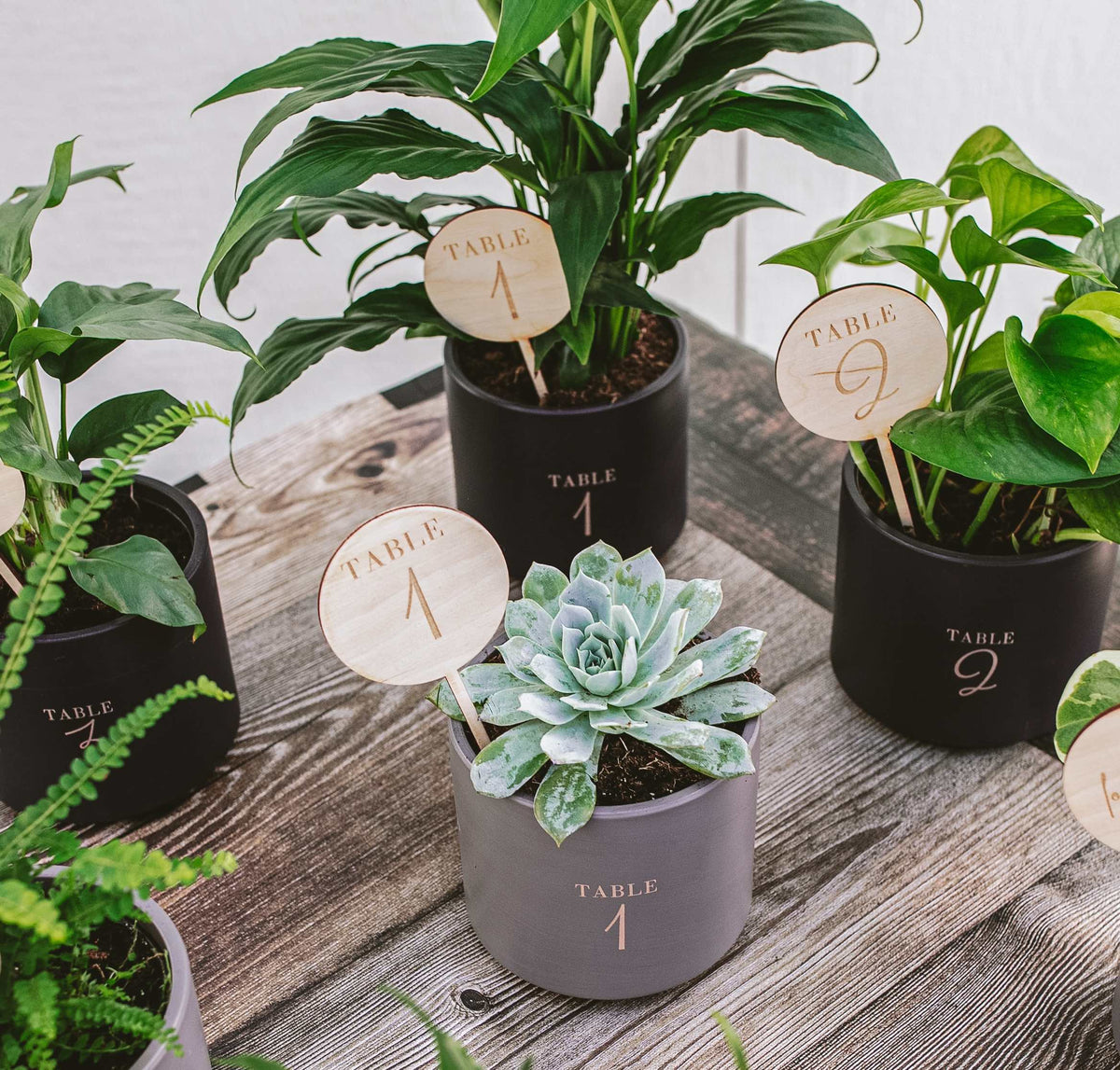 Retirement Milestones Events Lively Root