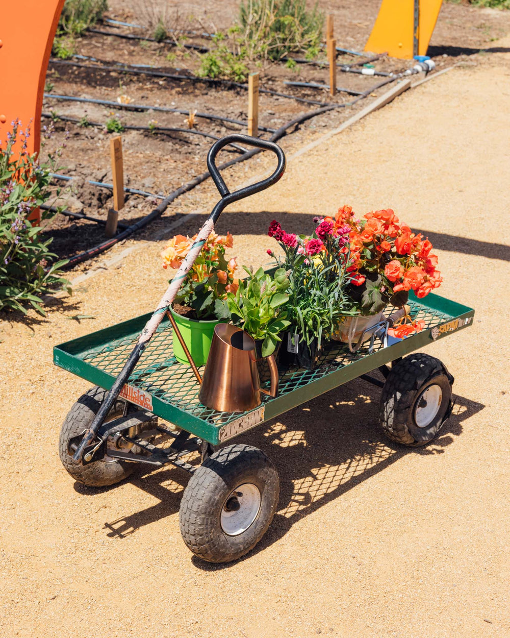 Garden Starter Kit