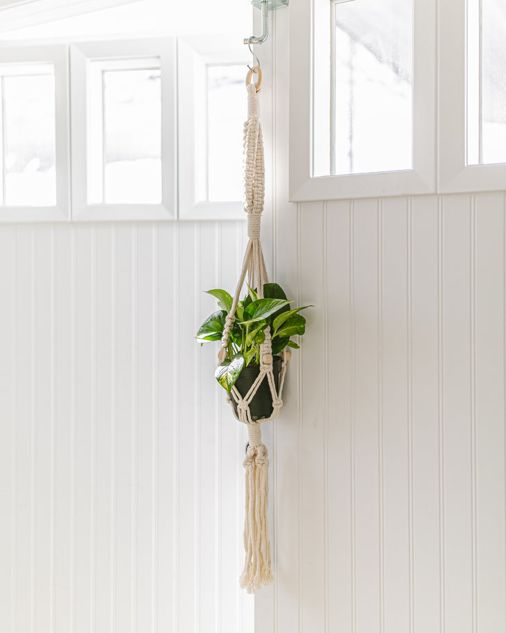 Hanging Plant Kit